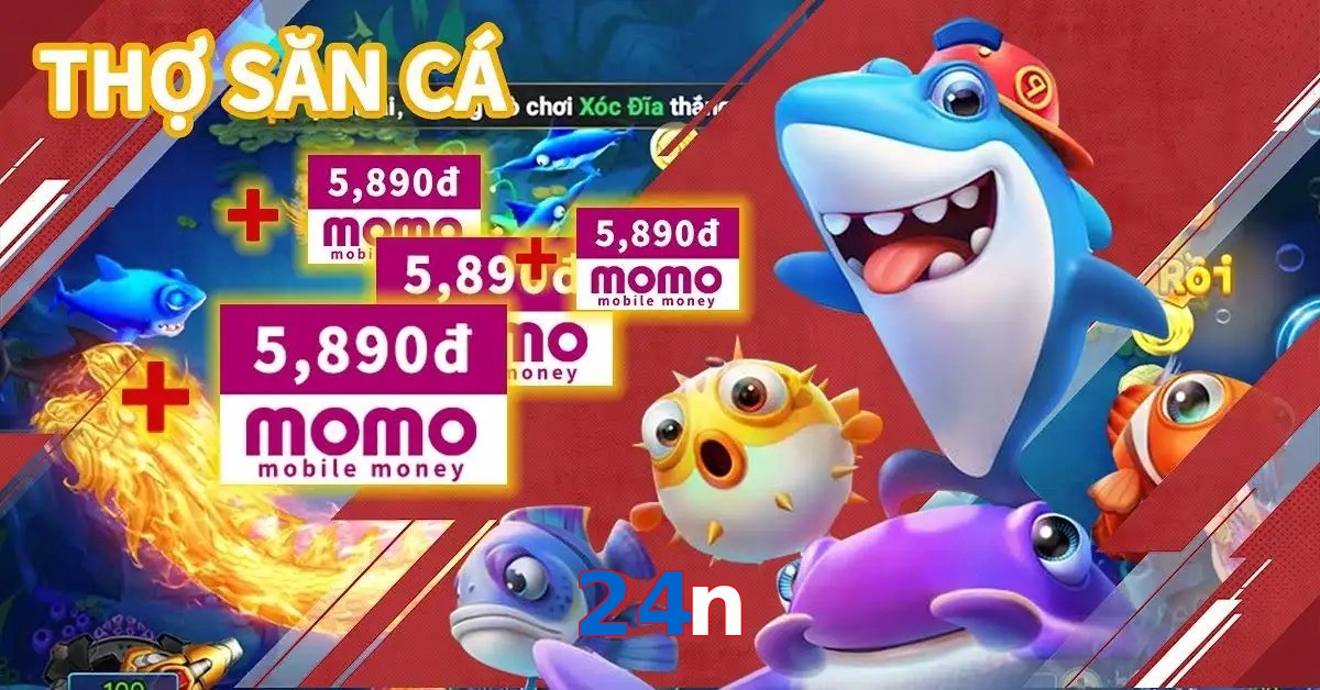 24n
